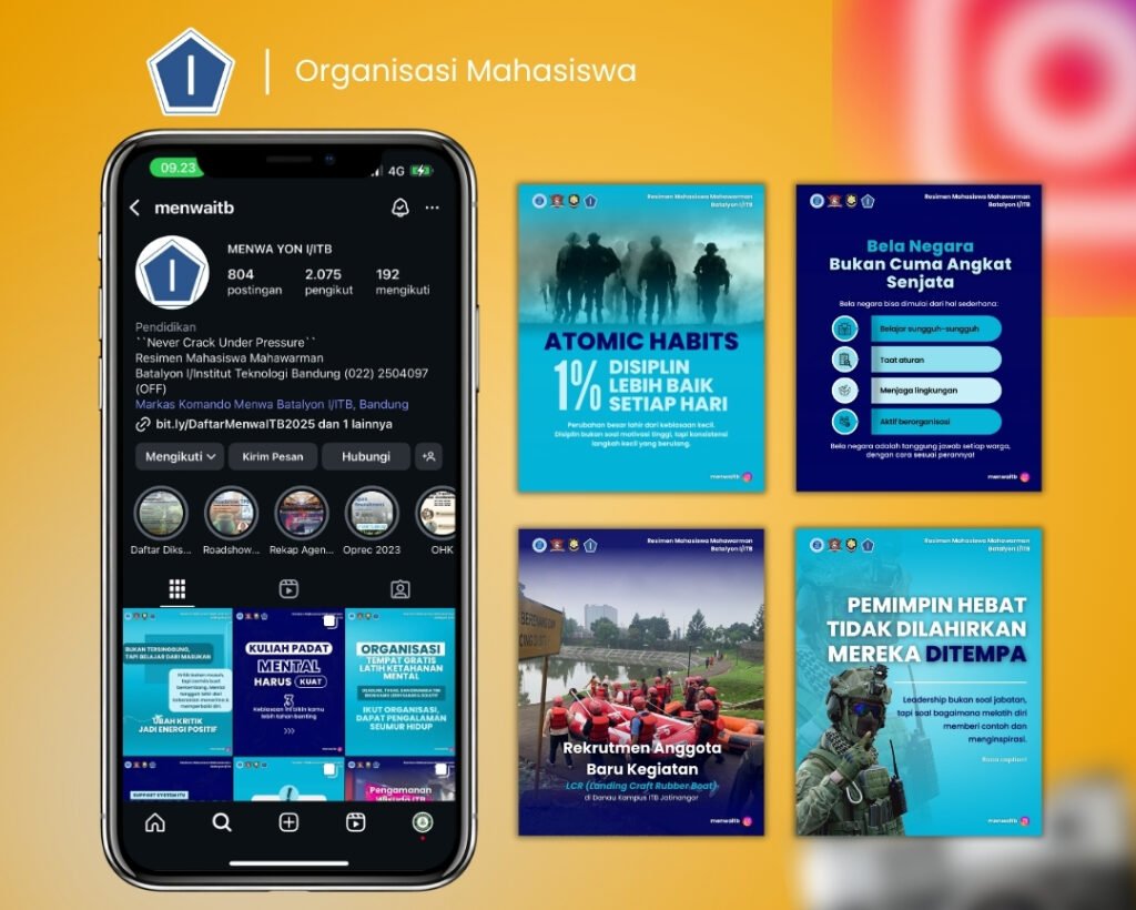 Instagram Management